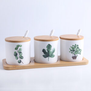 Ceramic Seasoning Jar Set